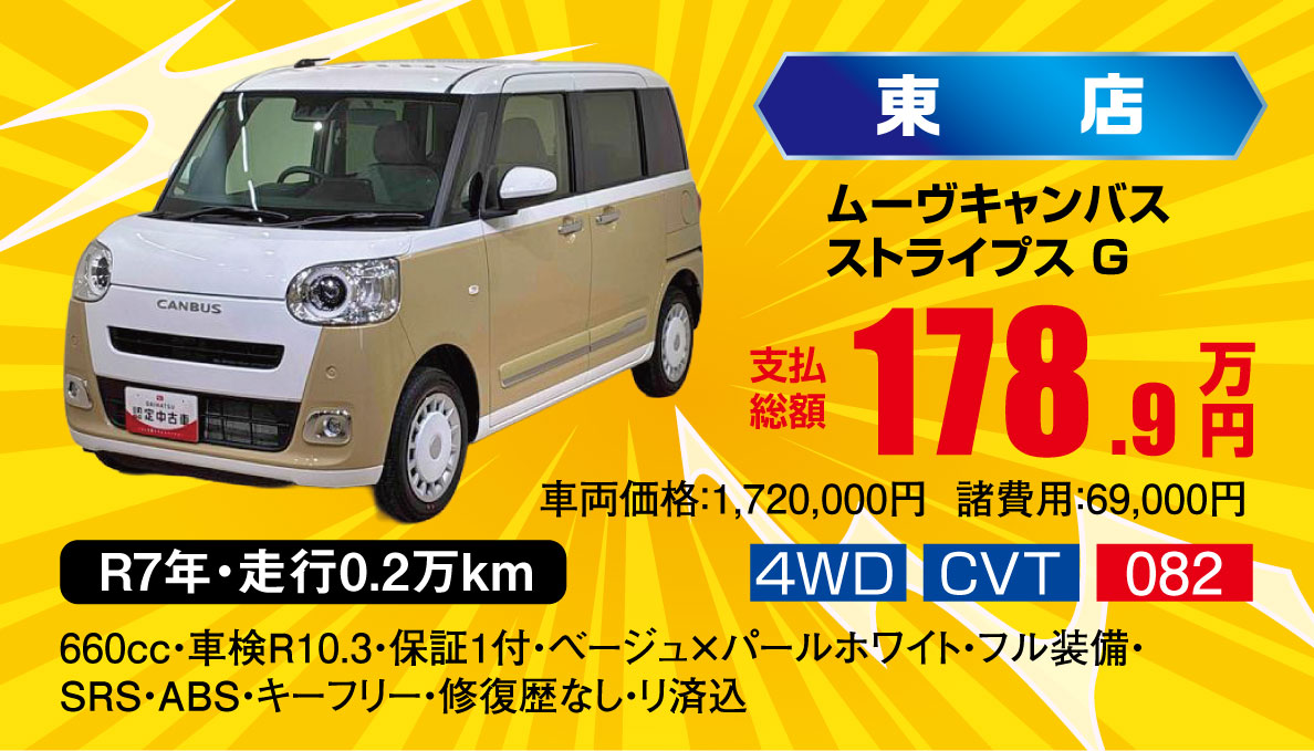 ムーヴキャンバスストライプスG